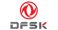 DFSK logo